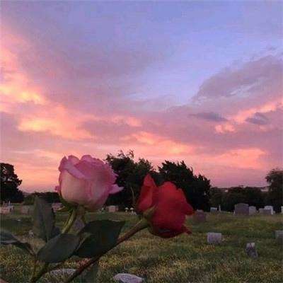 必赢亚洲手机app下载