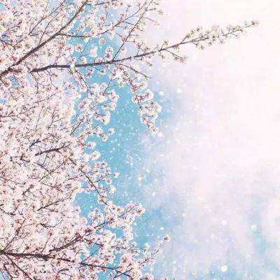 万博max体育(ManBetX)截图