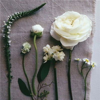 365足球外围平台