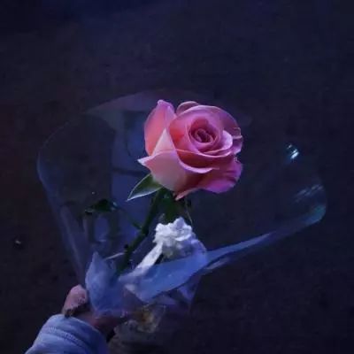 365足球外围平台